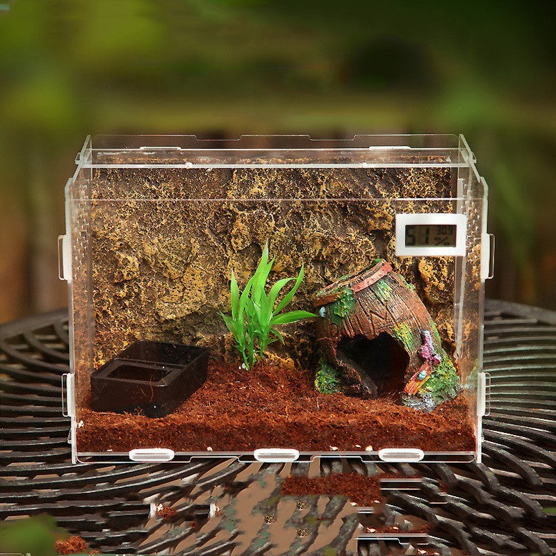 Turtle Snake Transparent Feeding Box