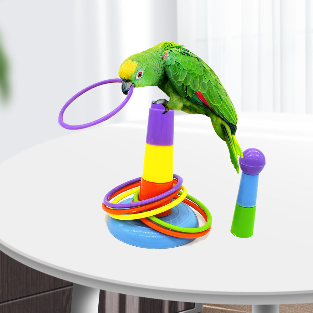 Parrot Brain Teaser Toy