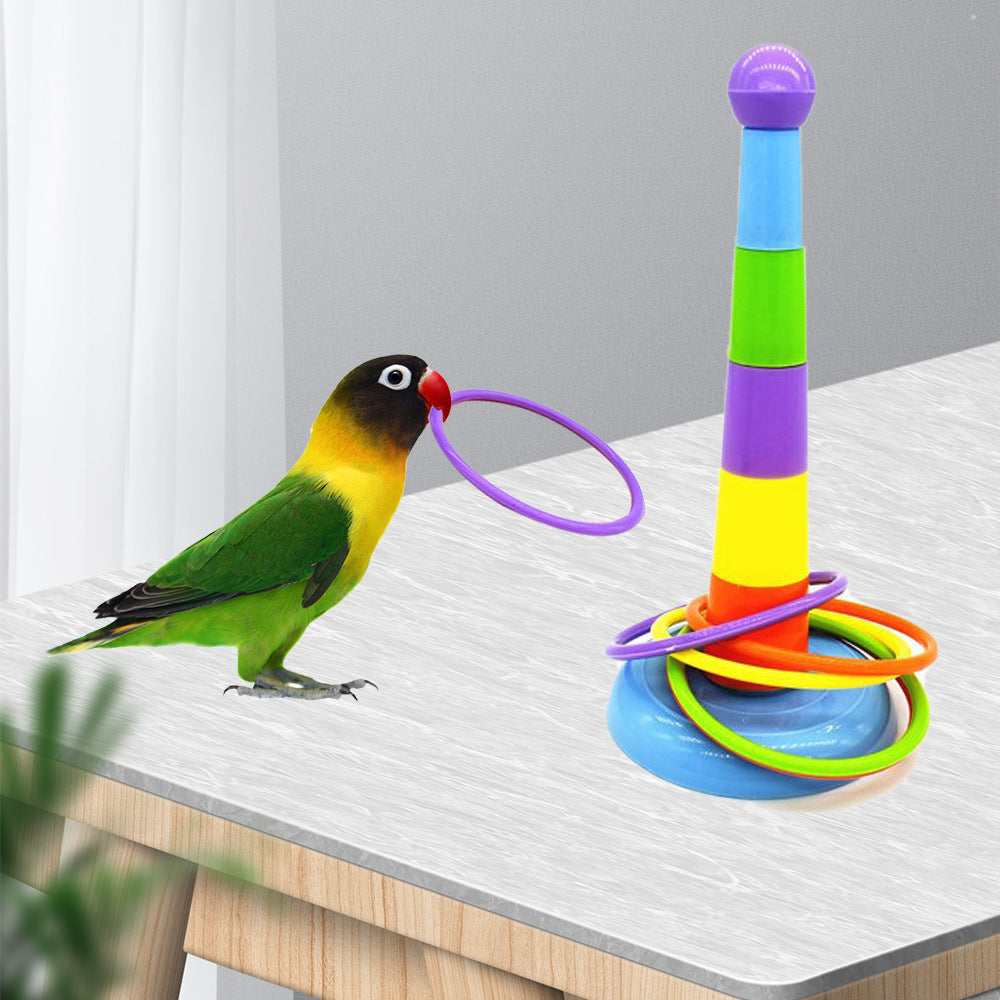 Parrot Brain Teaser Toy