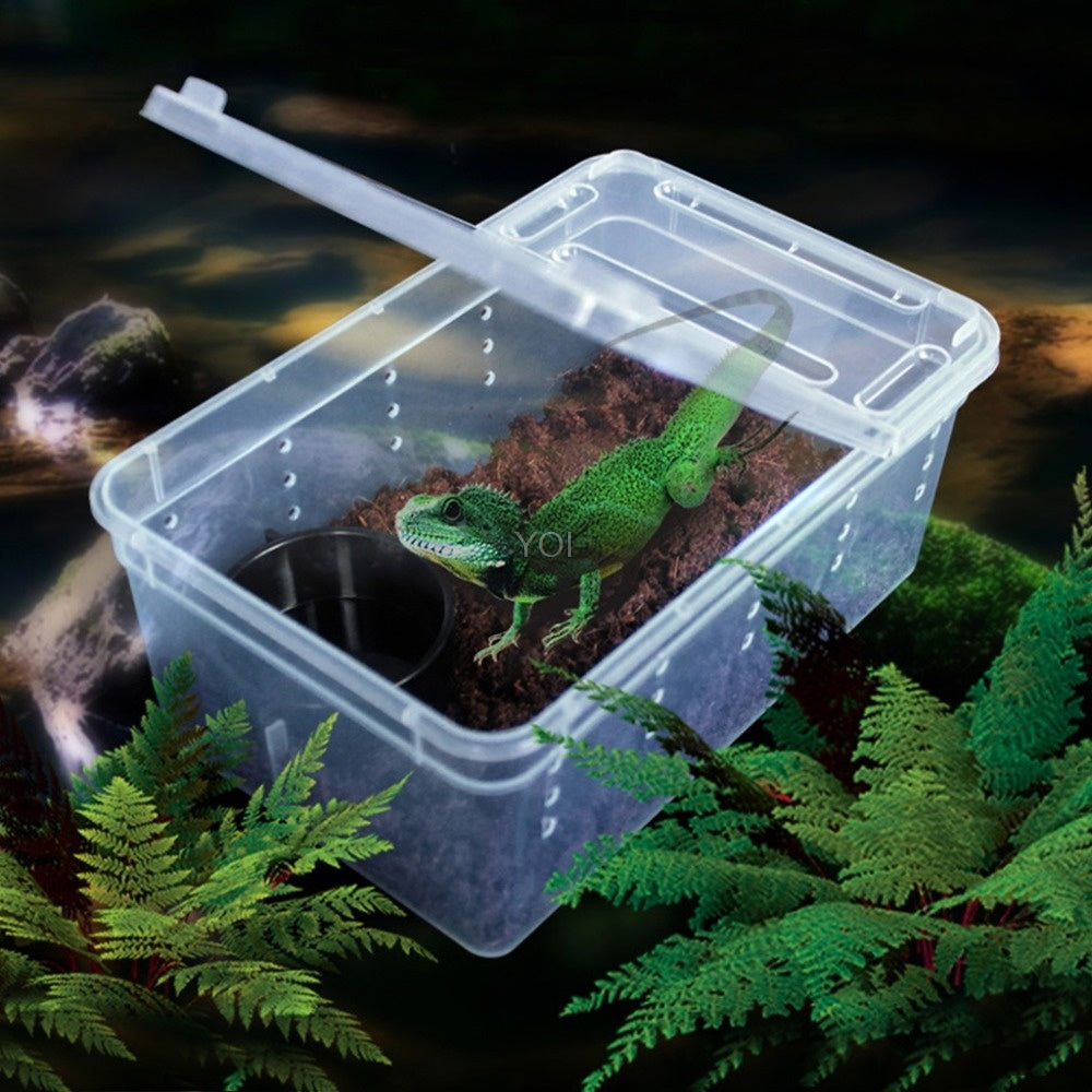 Reptile Feeding & Breeding Box