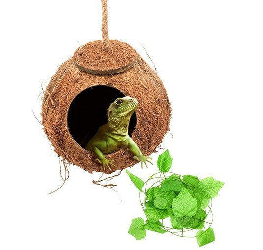 Reptile Coconut Shell Swing