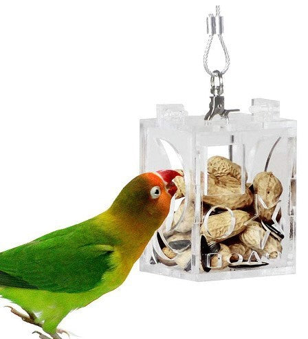 Parrot Train & Play Feeder