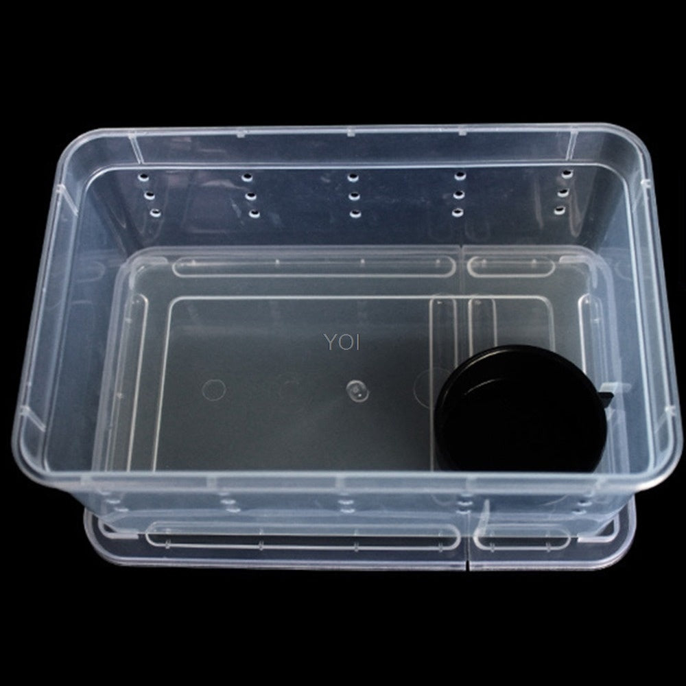 Reptile Feeding & Breeding Box