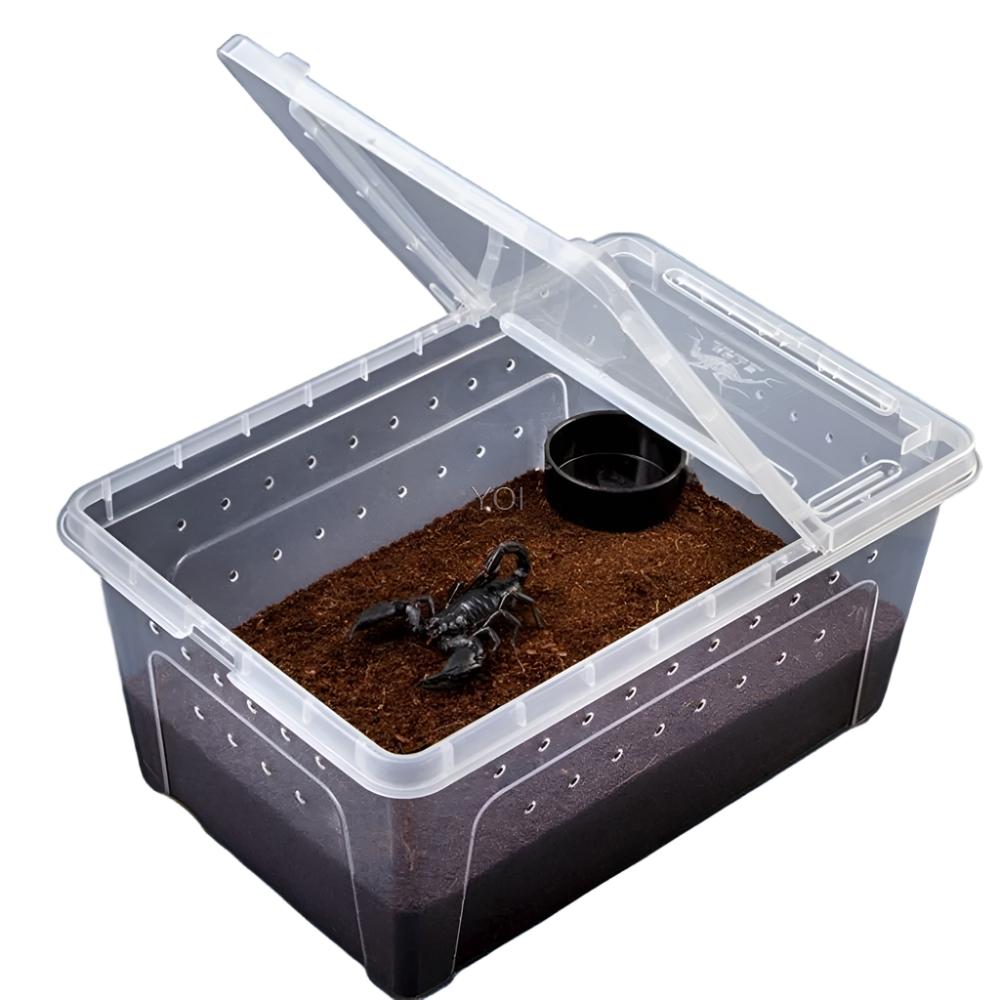 Reptile Feeding & Breeding Box