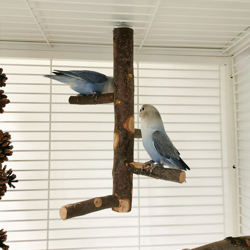 Parrot & Bird Wood Stand