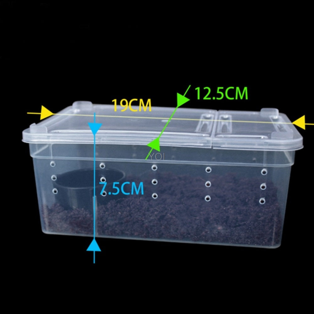 Reptile Feeding & Breeding Box