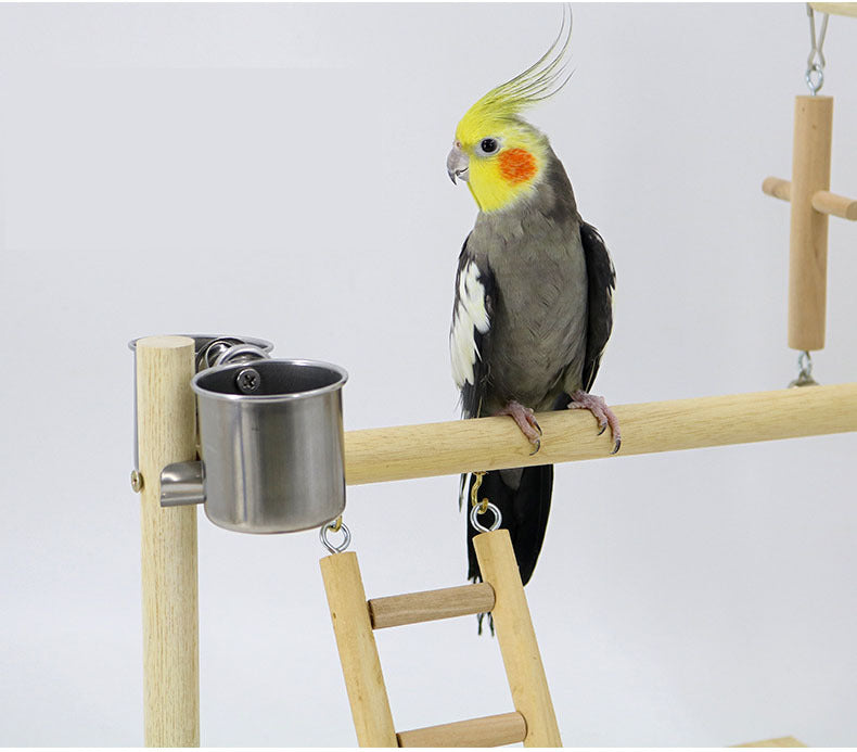 Bird Wooden Training Stand