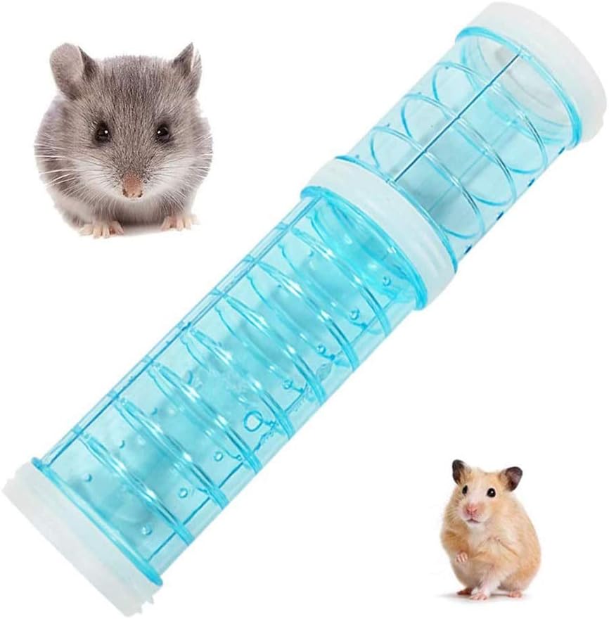 Hamster Pipeline Tubes Training