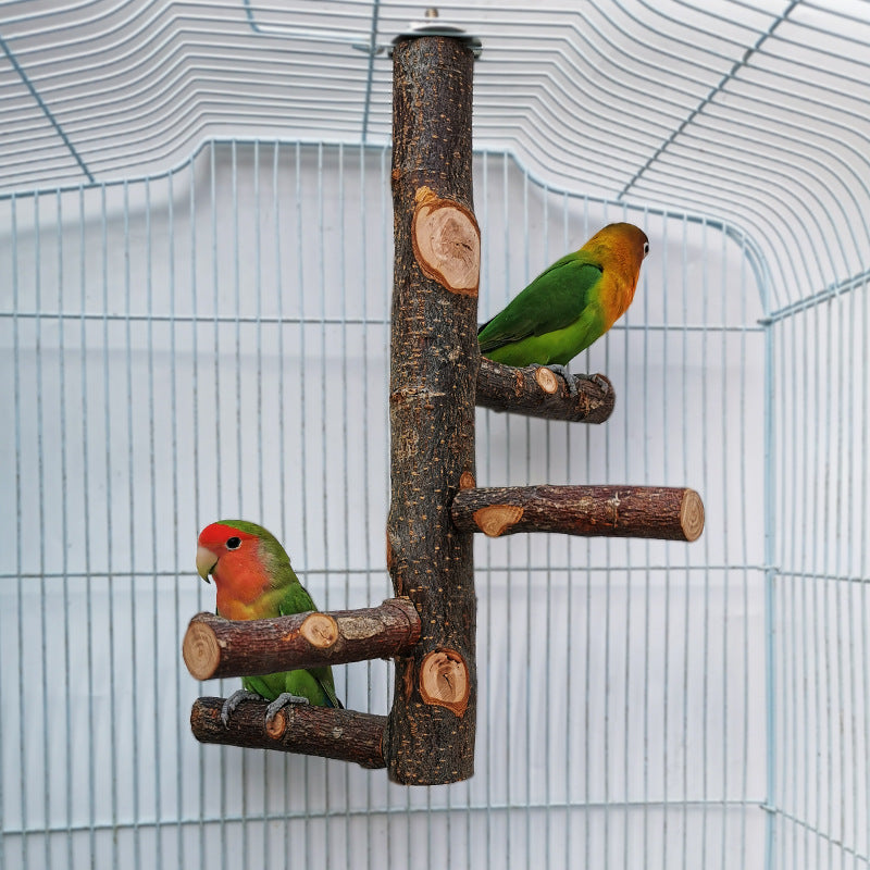 Parrot & Bird Wood Stand