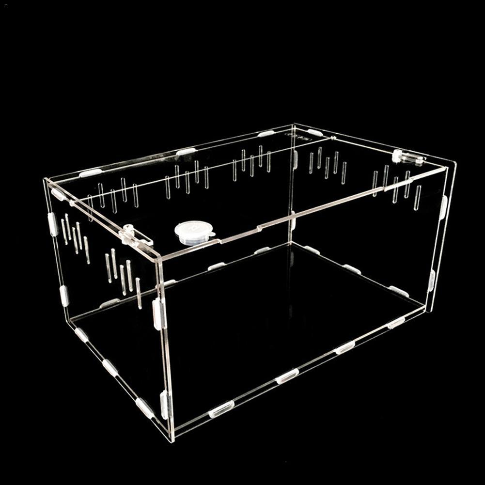 Reptile breeding box pet box