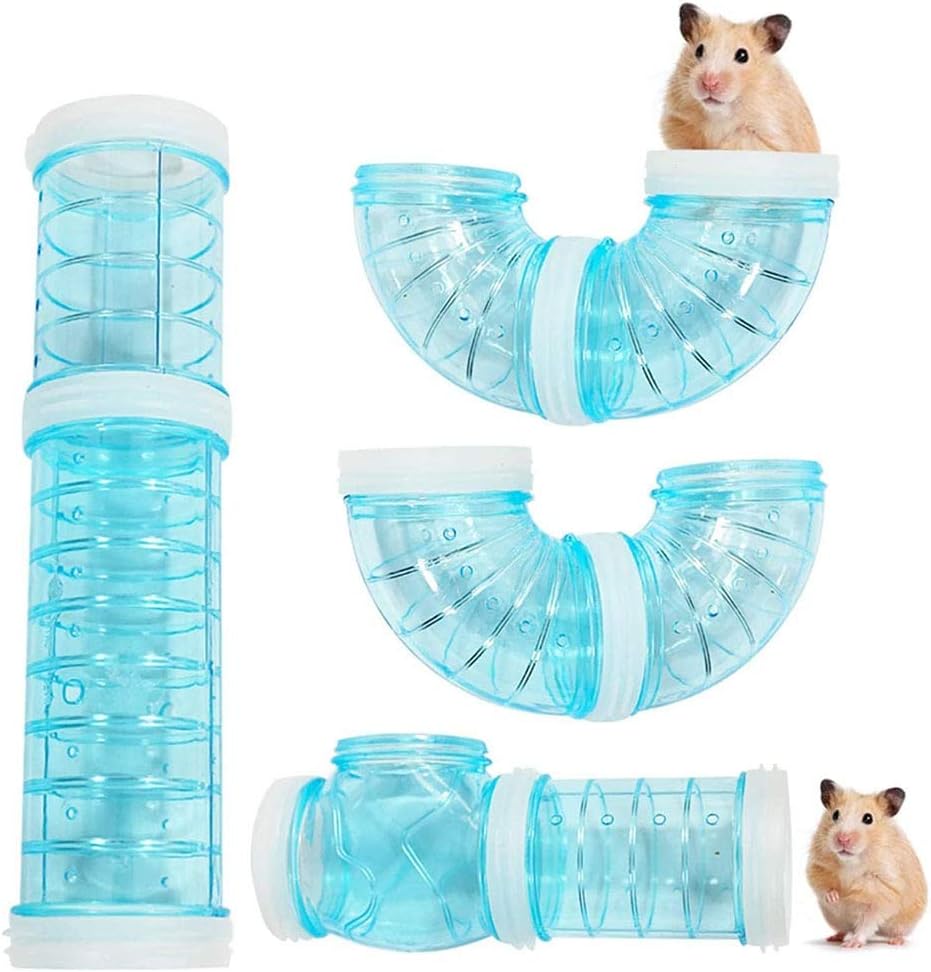 Hamster Pipeline Tubes Training