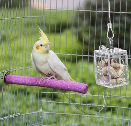 Parrot Train & Play Feeder