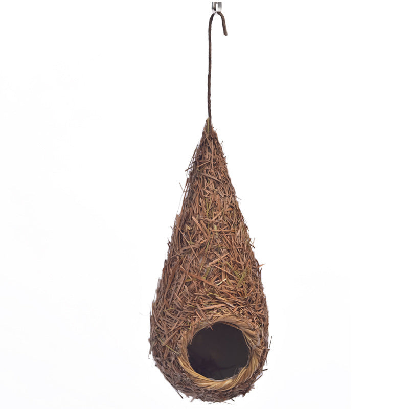 Small Nest for Bird