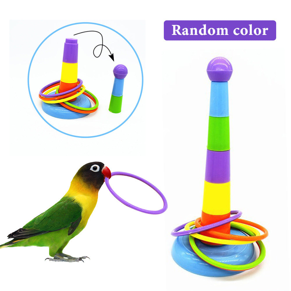 Parrot Brain Teaser Toy