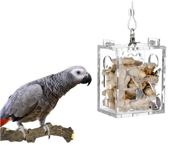 Parrot Train & Play Feeder