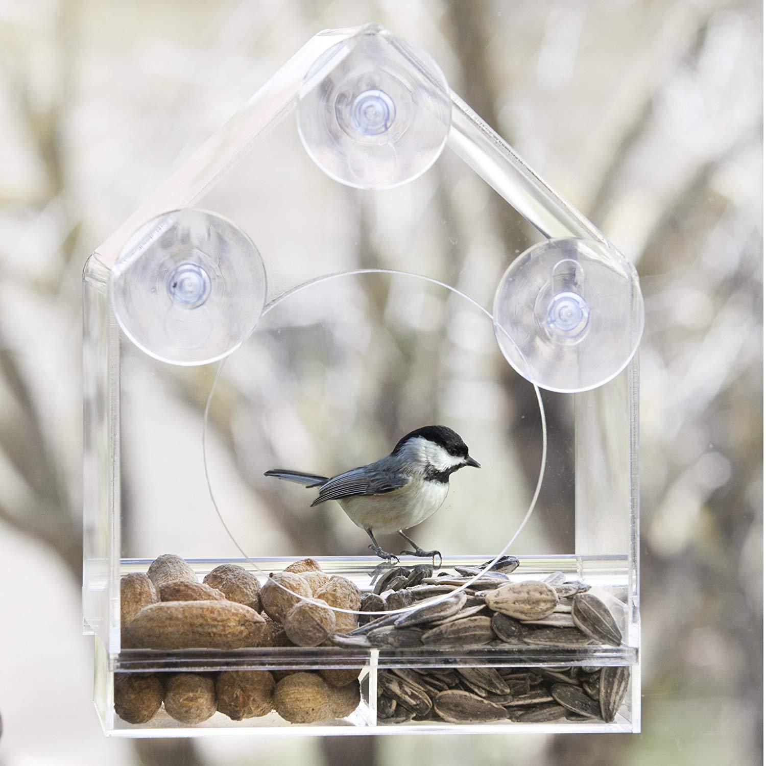 Hanging Bird Feeder