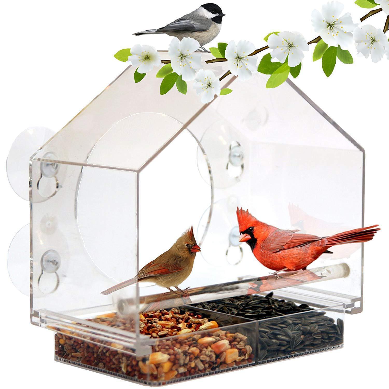 Hanging Bird Feeder