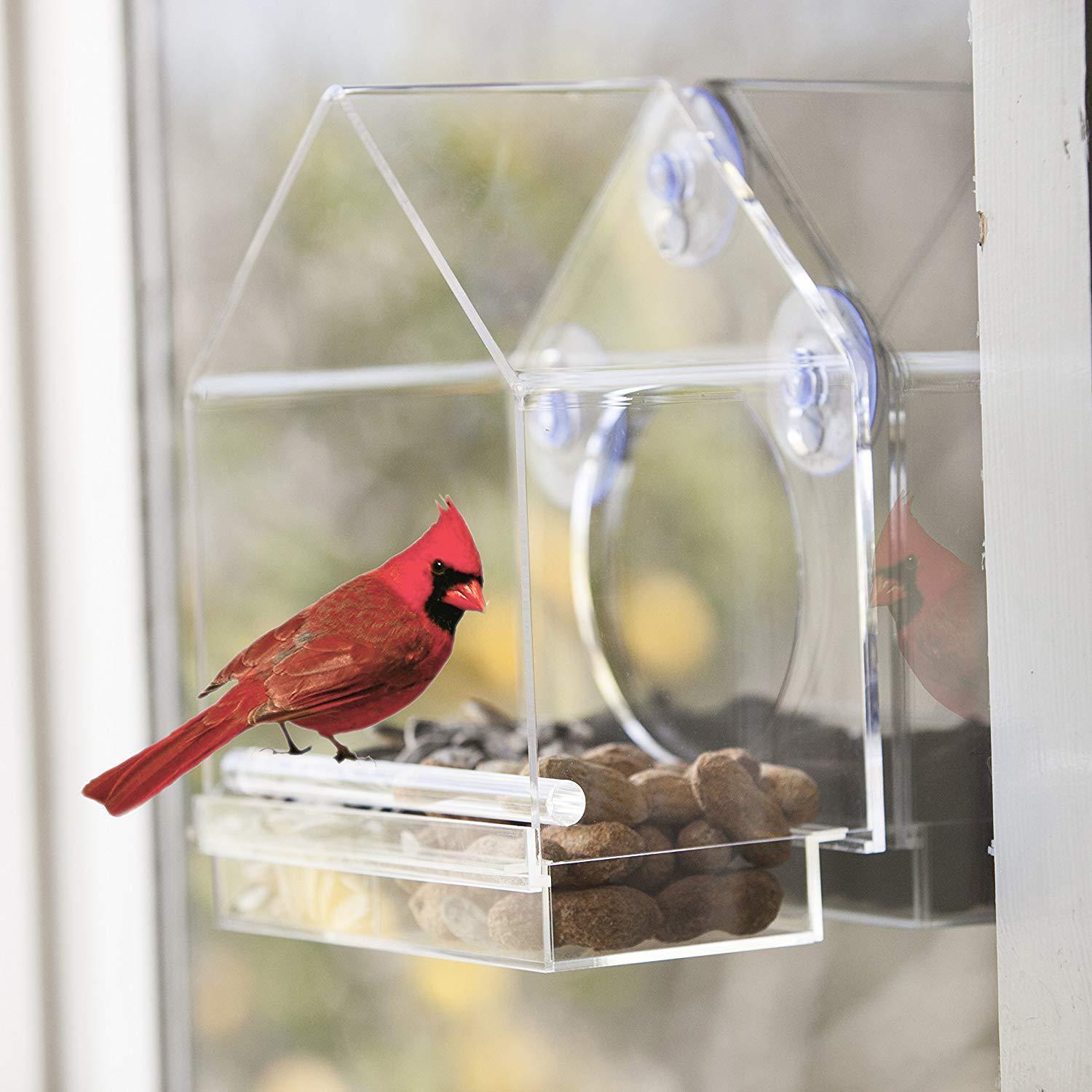 Hanging Bird Feeder