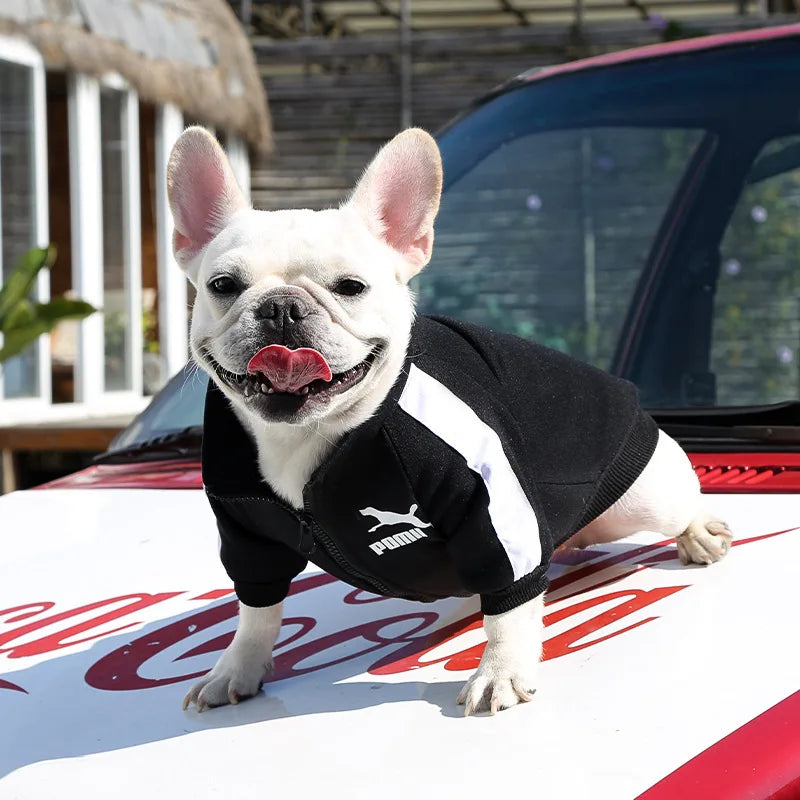 Dog Baseball Jacket