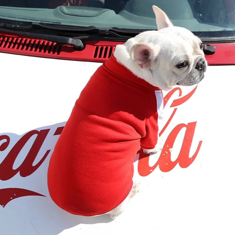 Dog Baseball Jacket