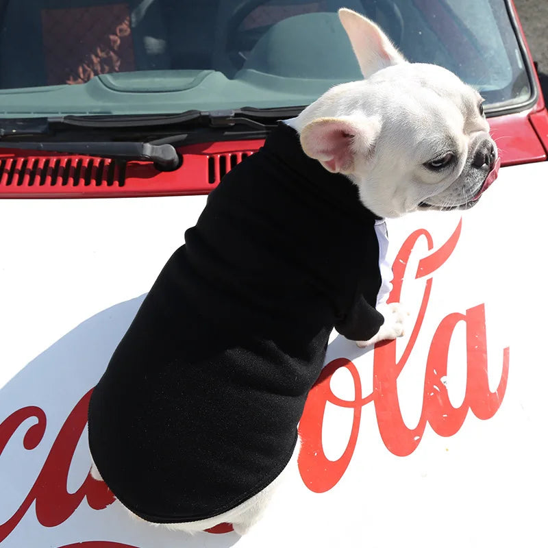 Dog Baseball Jacket