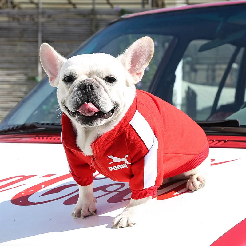 Dog Baseball Jacket