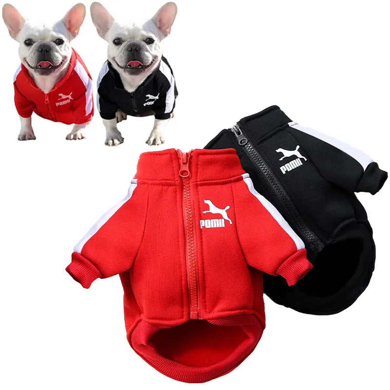 Dog Baseball Jacket