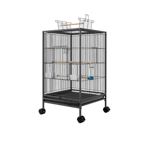 Parrot & Bird Cage Large