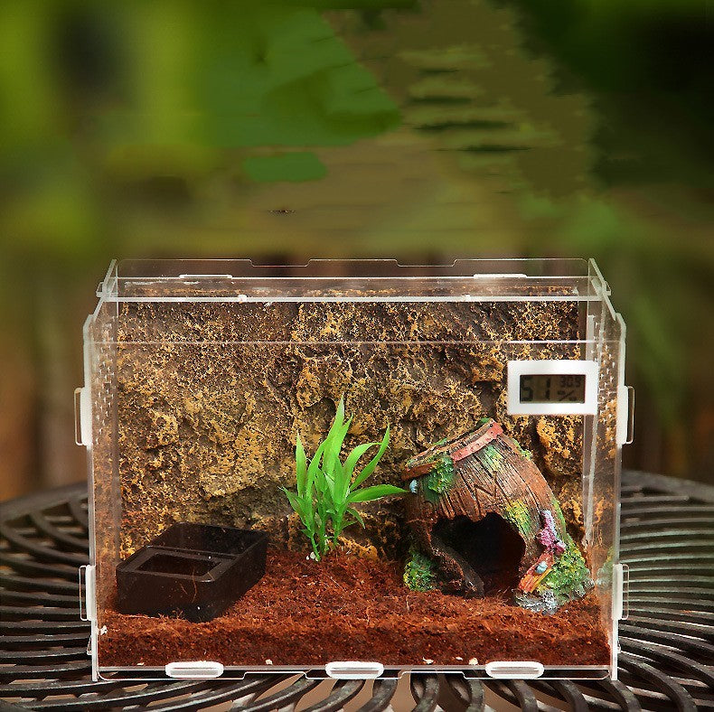 Turtle Snake Transparent Feeding Box