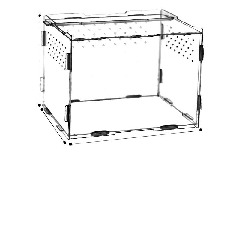 Turtle Snake Transparent Feeding Box