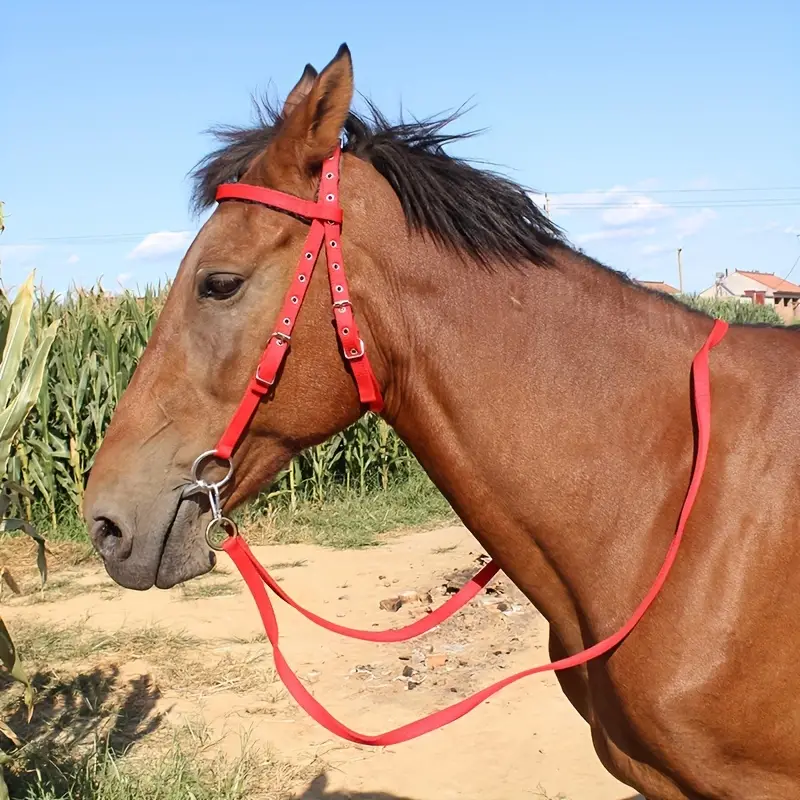 Reins Horse Bridle