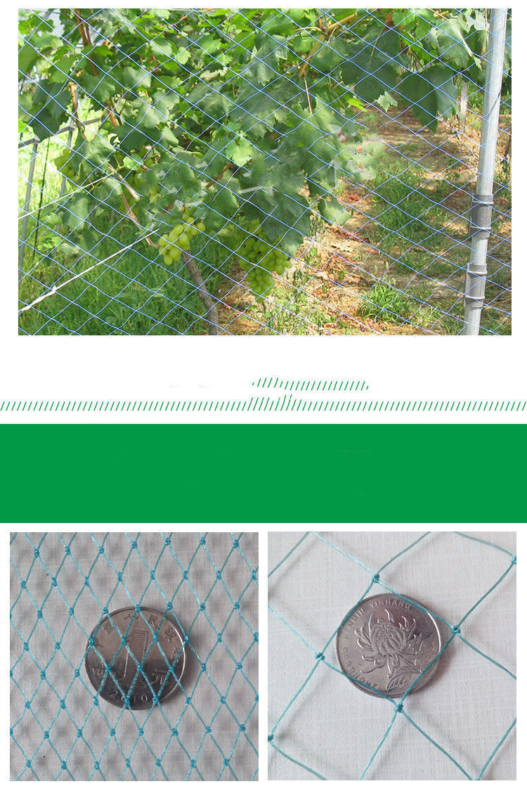 Poultry Chicken Netting Fence