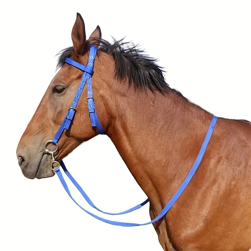 Reins Horse Bridle