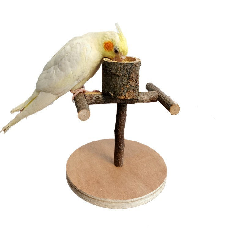 Solid Wooden Parrot Training & Feeding Station