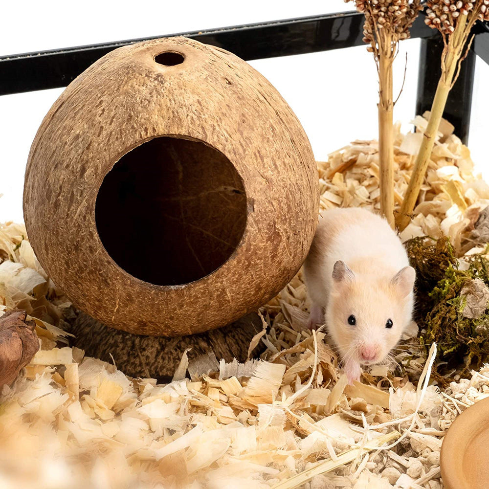 Hamster Coconut Shell Nest