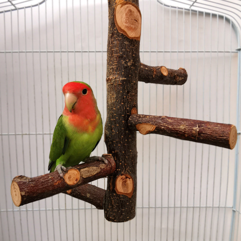 Parrot & Bird Wood Stand