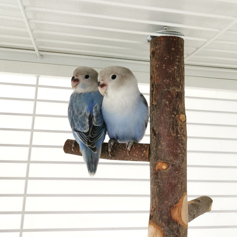 Parrot & Bird Wood Stand