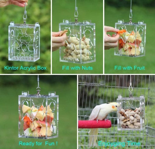 Parrot Train & Play Feeder