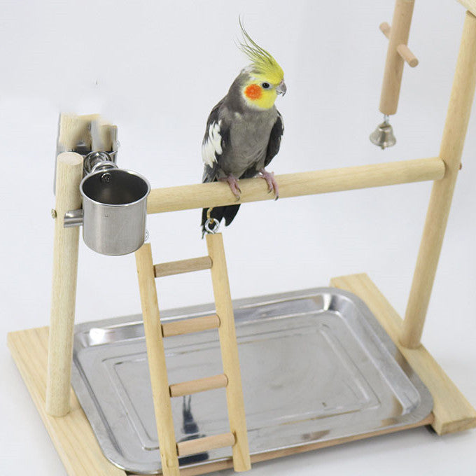 Bird Wooden Training Stand