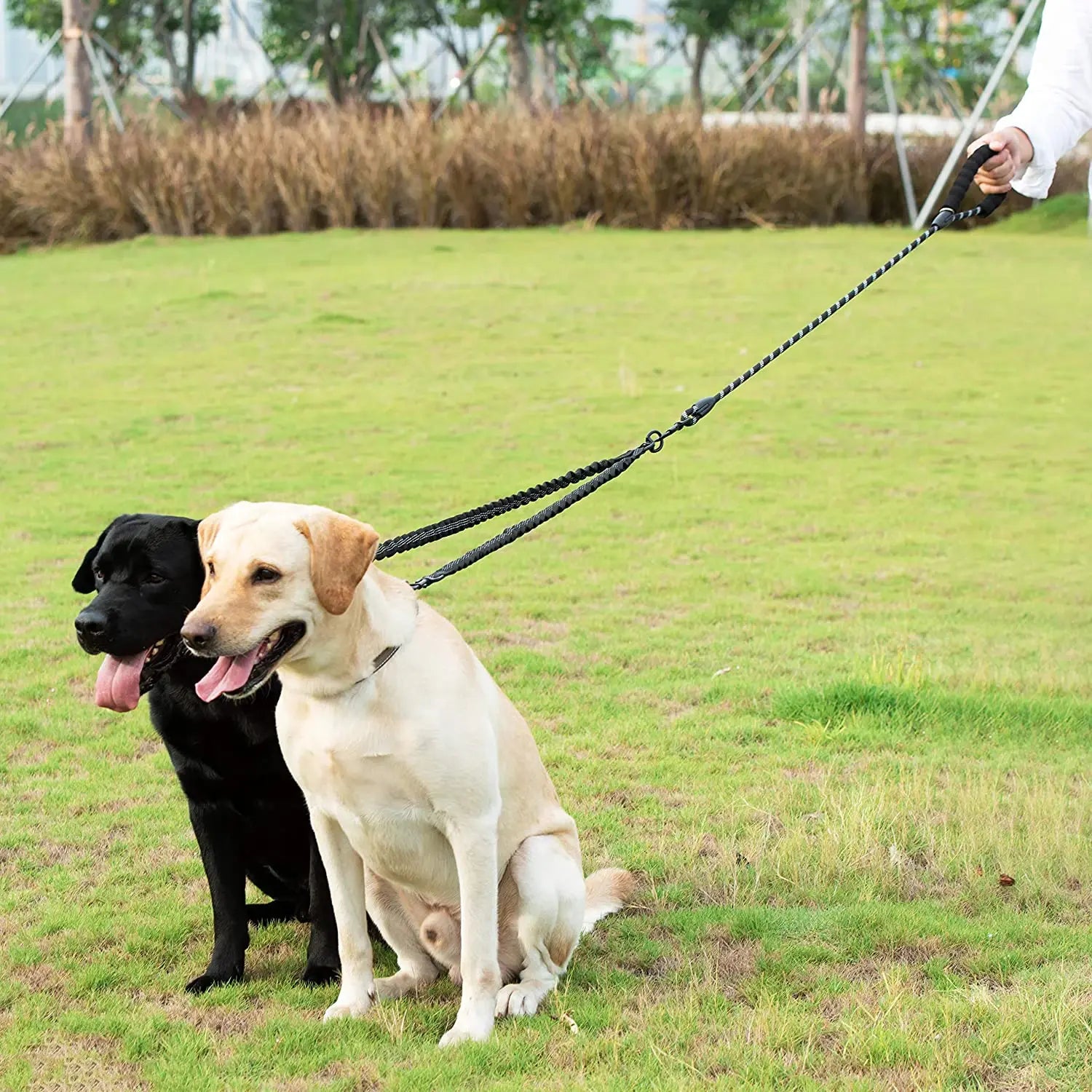 DuoDoggo™ - Tangle Free Dual Dog Leash